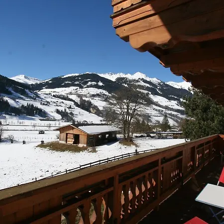 Apartment Appartementhaus Salzmann